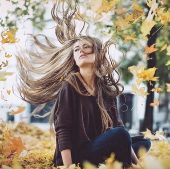 Meet your posher - Picture 3 of 4